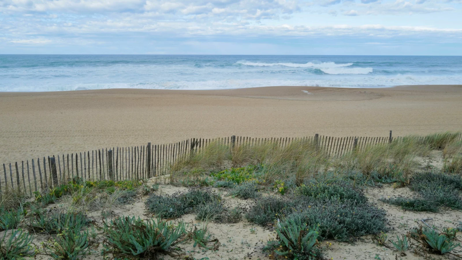 Création et suivi de sites internet Les dunes et les ganivelles sur une plage d’Anglet