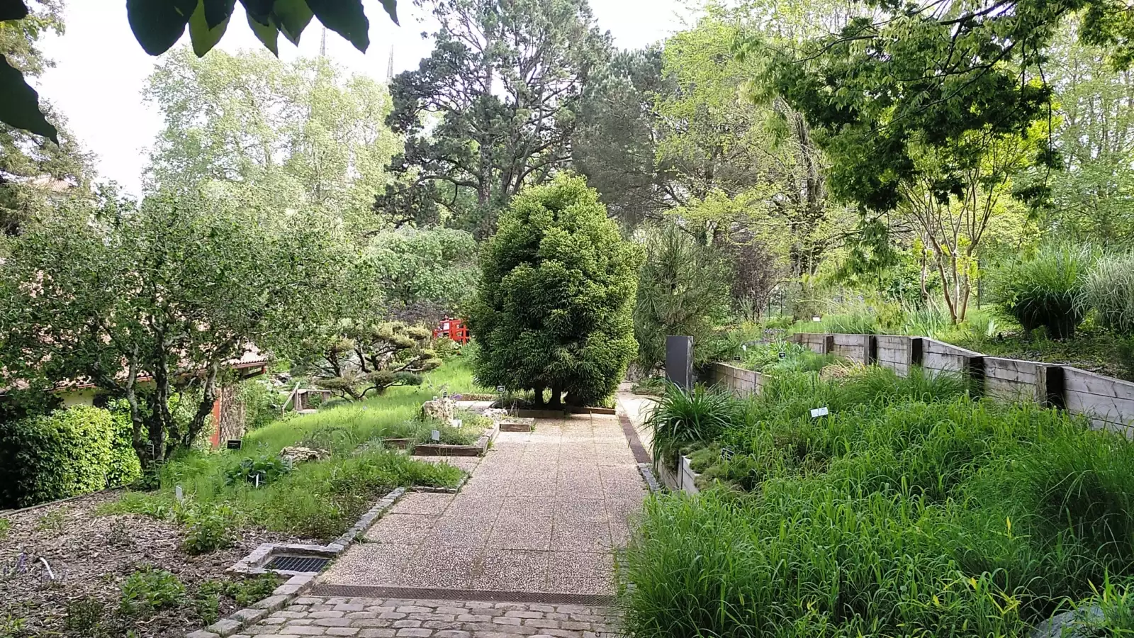 Création et suivi de sites internet Le jardin botanique de Bayonne