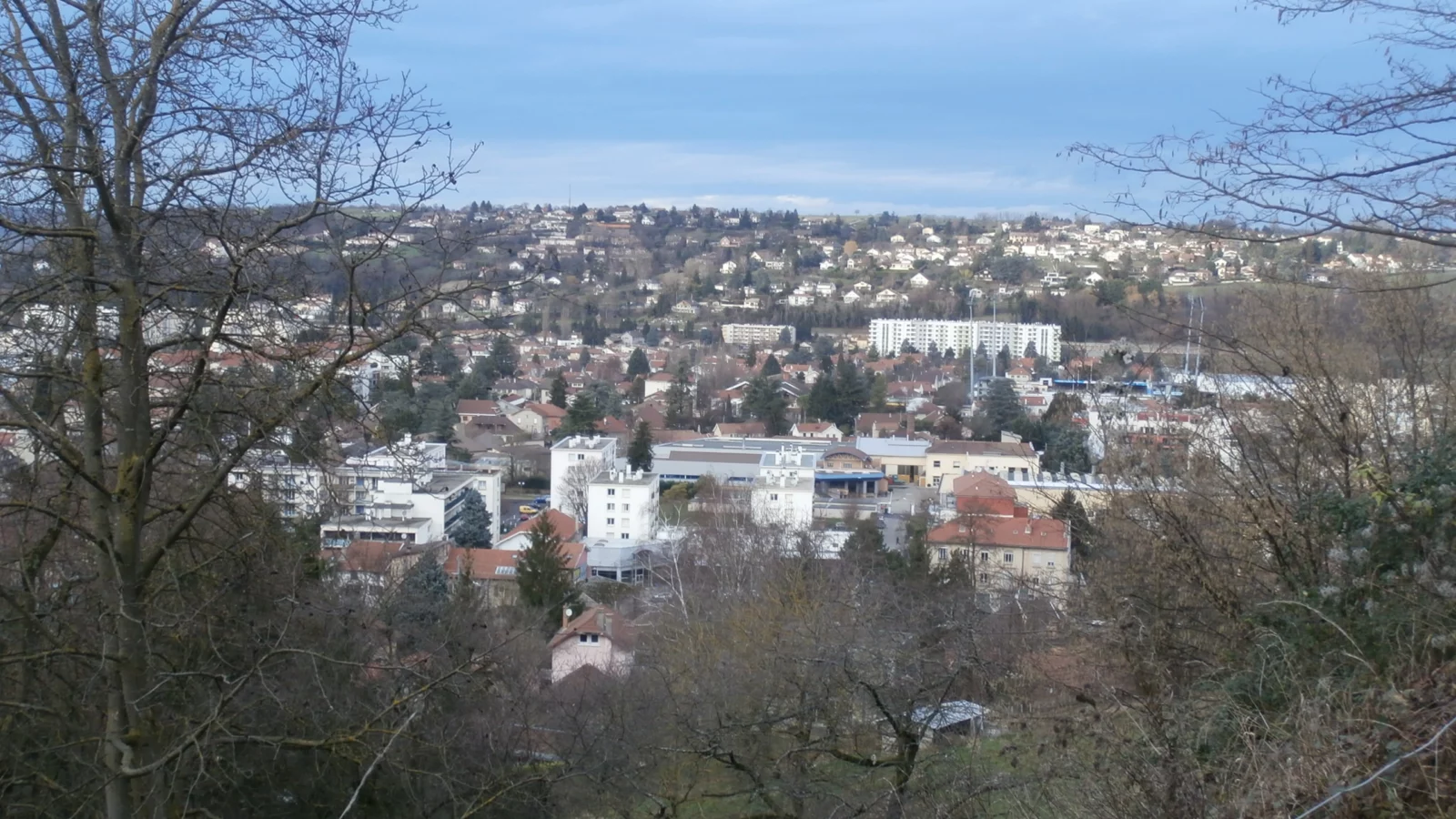 Accompagnement des entreprises Vue de Bourgoin-Jallieu depuis le plateau sud