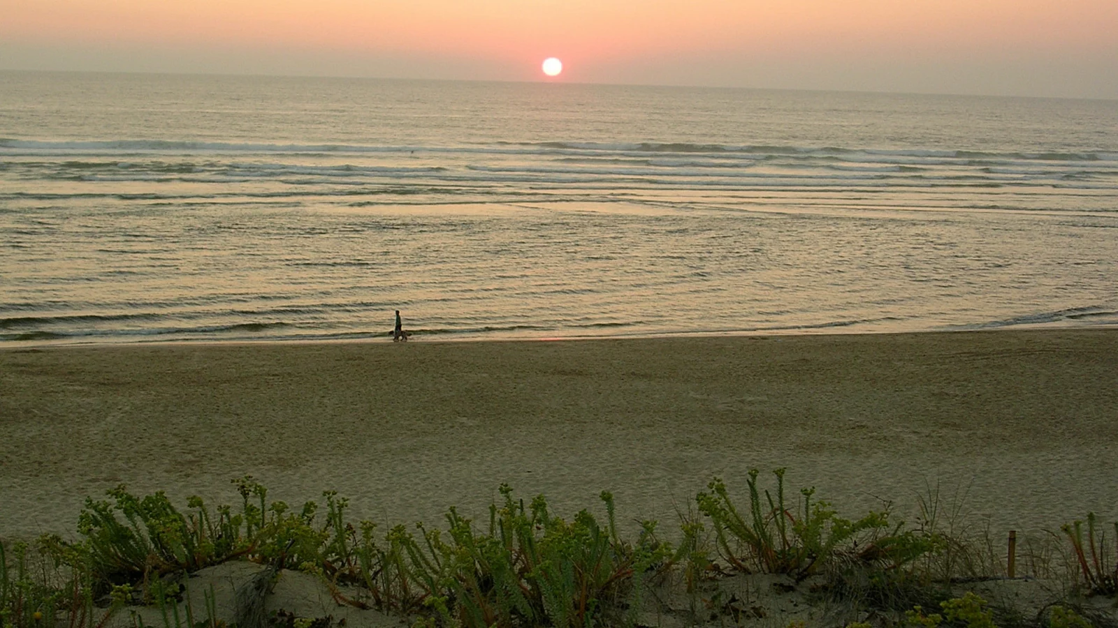 Création et suivi de sites internet Coucher de soleil sur l’océan depuis la plage de Mimizan