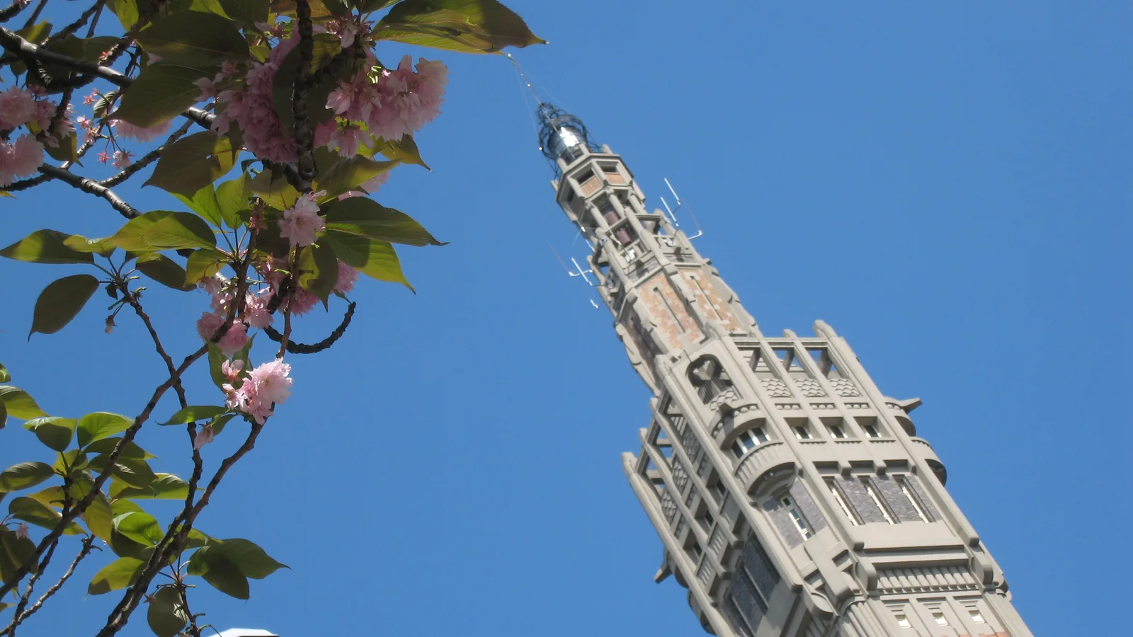 Maintenance WordPress à Lille : un suivi en direct