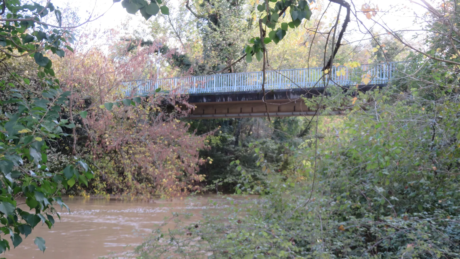 Une passerelle de l’Auberge Landaise à Mont-de-Marsan Refonte site internet à Mont-de-Marsan : une offre claire