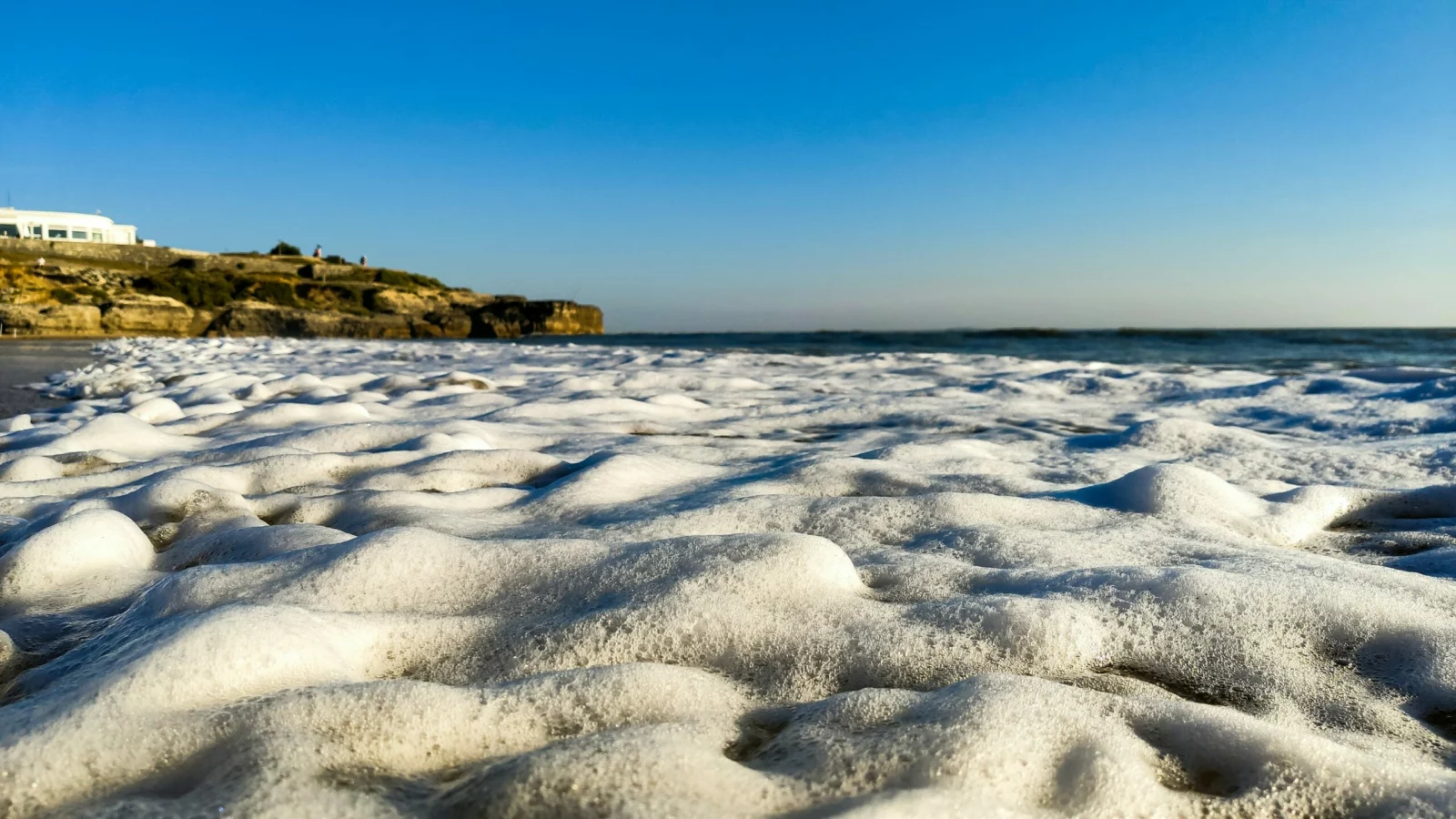 Création et suivi de sites internet Rochers et écume sur le littoral de Saint-Palais-sur-Mer