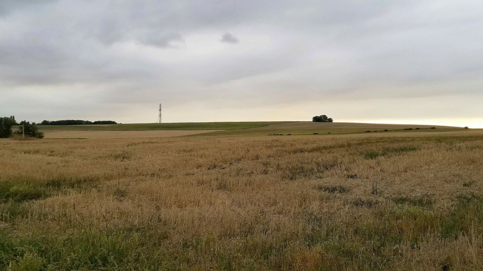 Paysage de la côte de Hesse entre Hesse et Sarrebourg