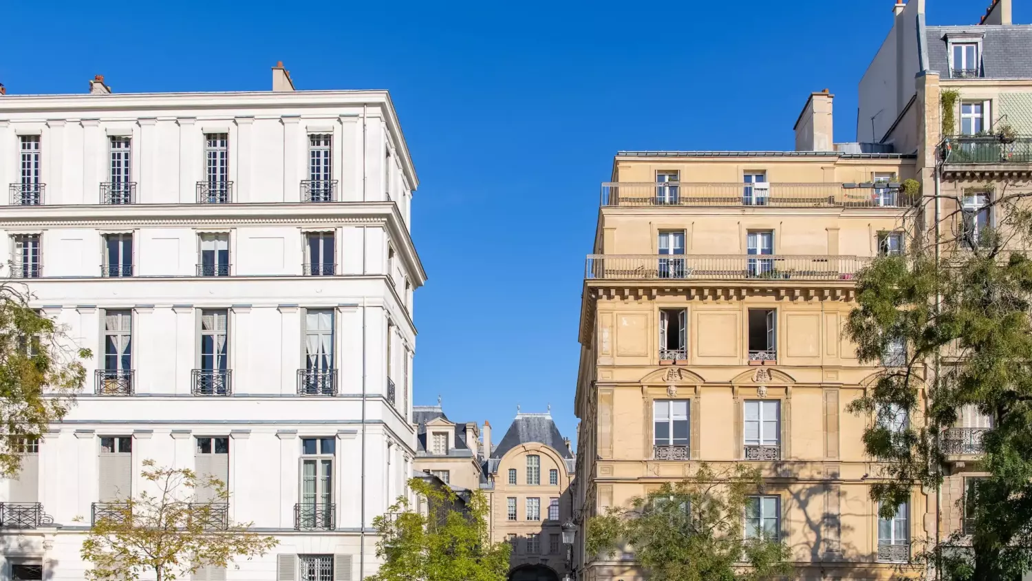 Accompagnement des entreprises Façades de l’île Saint-Louis et perspective sur une rue du quai de Béthune à Paris